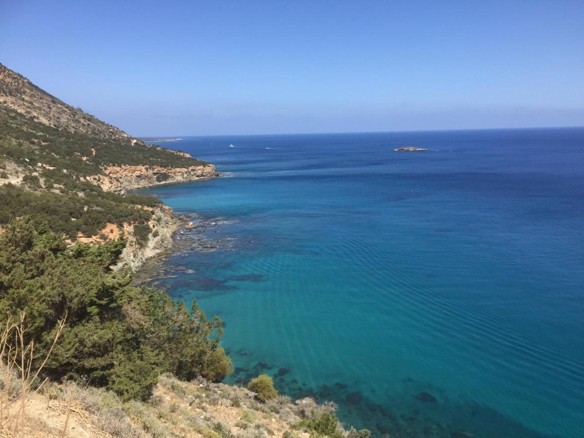 Beach Villa Gladiolus نيو تشوريو المظهر الخارجي الصورة