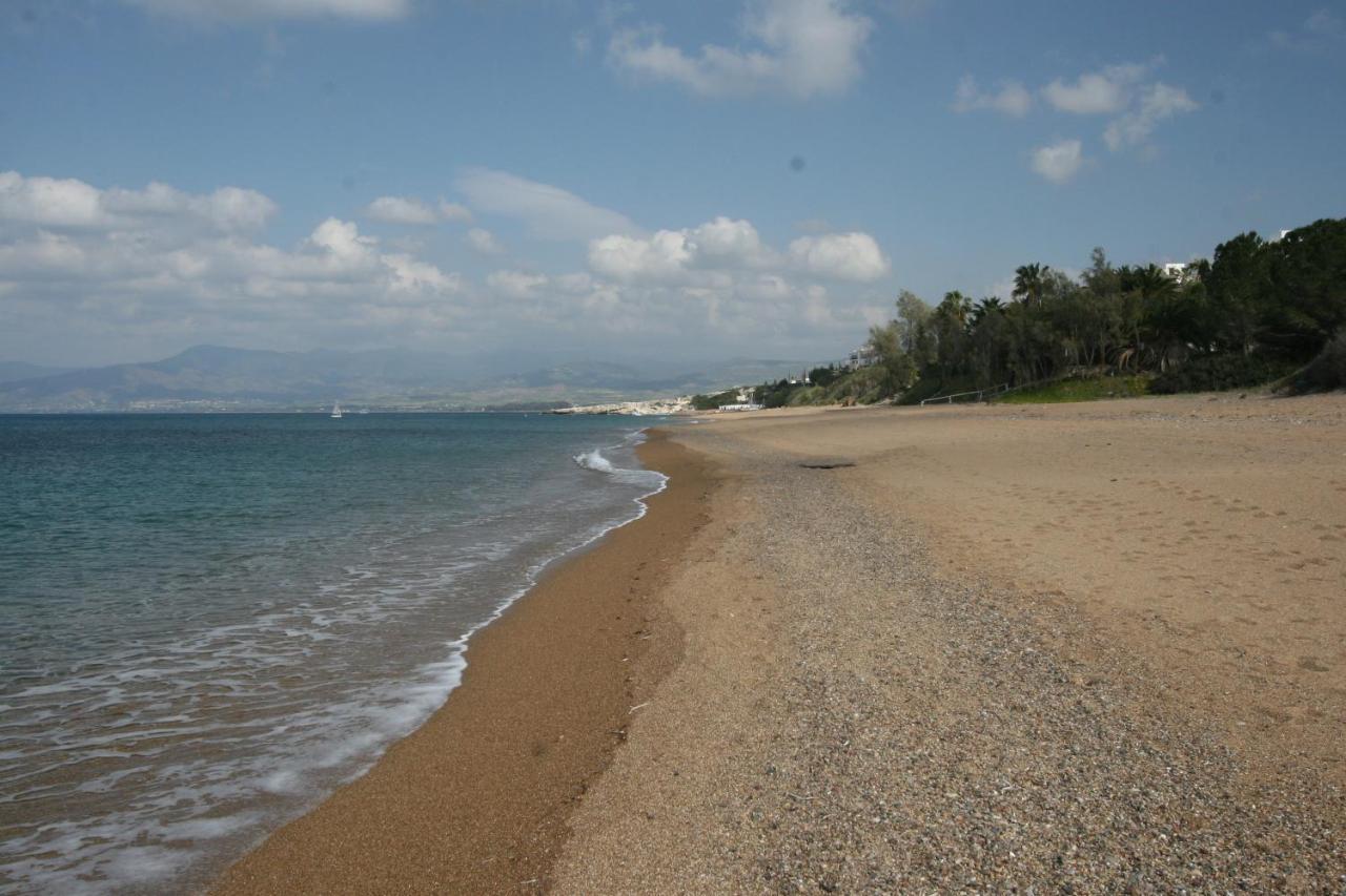 Beach Villa Gladiolus نيو تشوريو المظهر الخارجي الصورة
